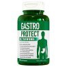 Gastro Protect - trawienie