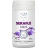 fin Seraflecaps-stawy, mięśnie, gojenie się ran