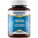 Morwa Essence (ekstrakt z morwy białej 10:1) - cukier