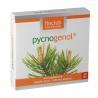 Pycnogenol-naturalny antyoksydant-ochrona naczyń krwionośnych